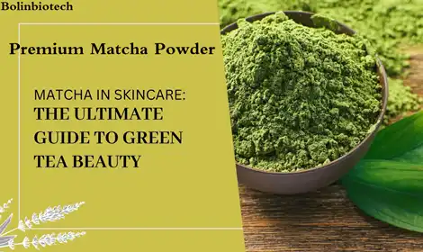 Is Instant Matcha Powder Good For Skin?
